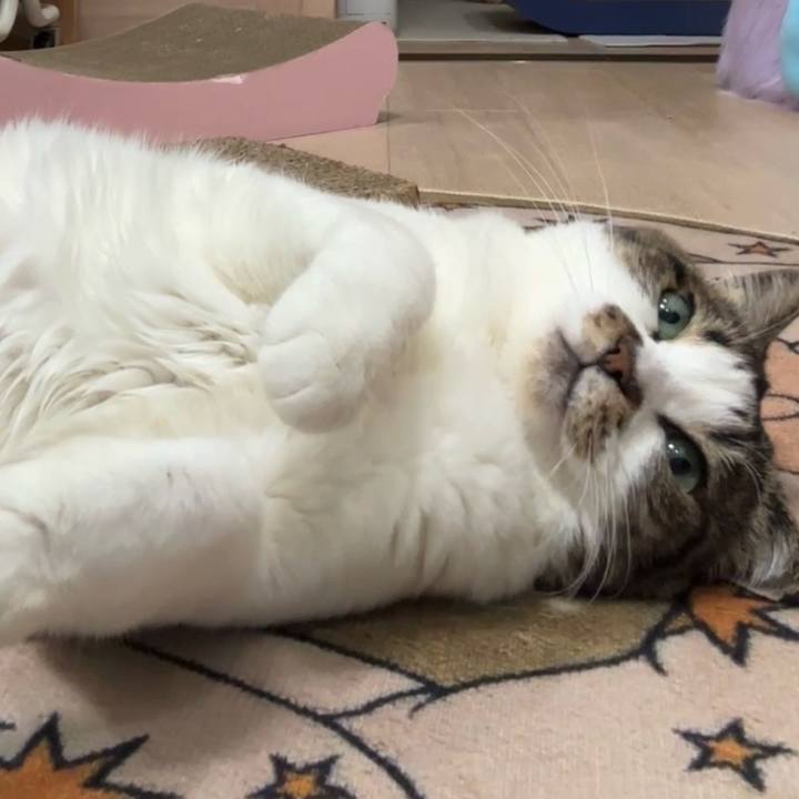 F755abd0 75de 411d aa5e bb8e393f8ba8 1771722860665