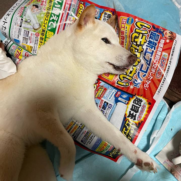 F755cb45 74a1 41b1 9c69 78a30bc51e1c 1655473011730