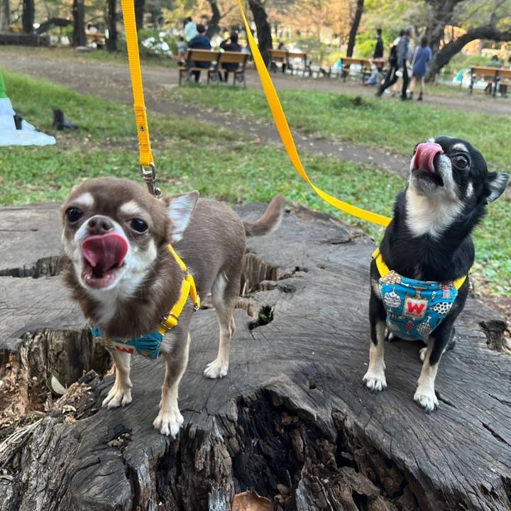 F7563fd0 a999 4071 a3e2 51fd8feabc5e 1666952565776