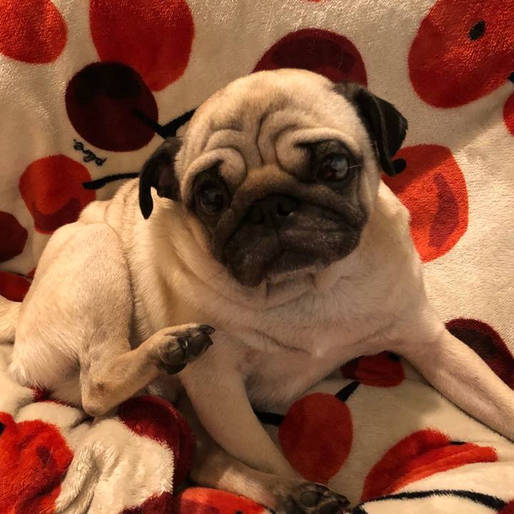 F756522c 9ade 4379 ba13 ea1299b8a81f 1514640994823