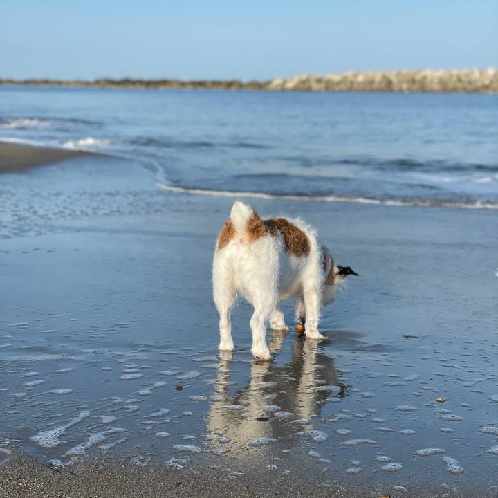 F7569a24 dbd7 43fa a6fe e40b23c5a182 1616539798334