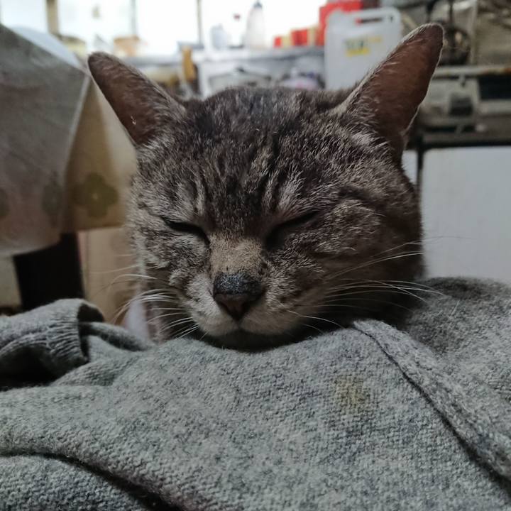 F756ad8b 2ee7 4803 9d28 552b7e5d763e 1559855241664