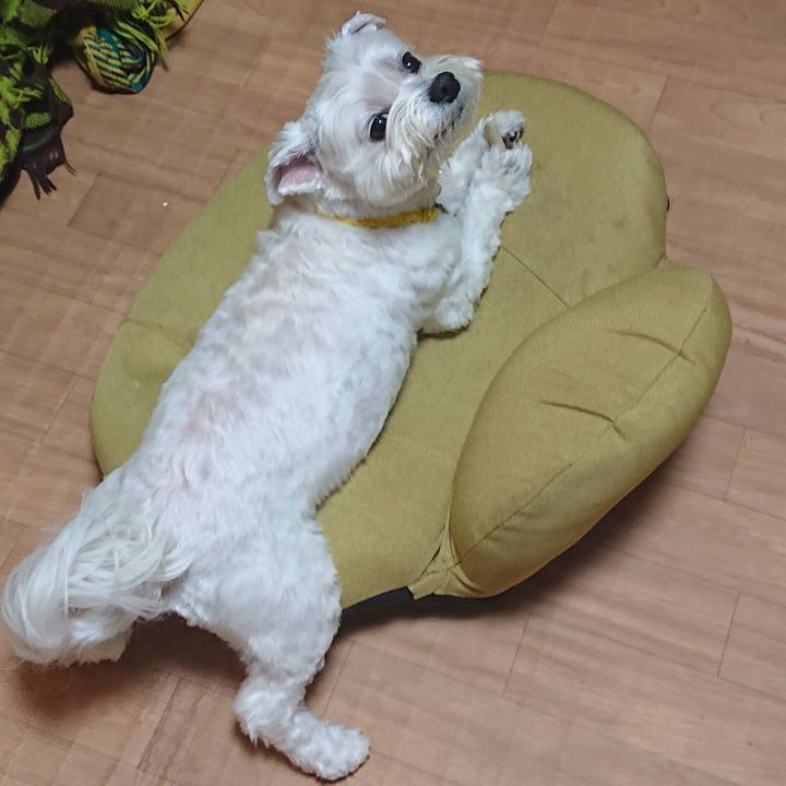 F756bad2 5d30 40c2 ba27 452263ab8cec 1612434706459