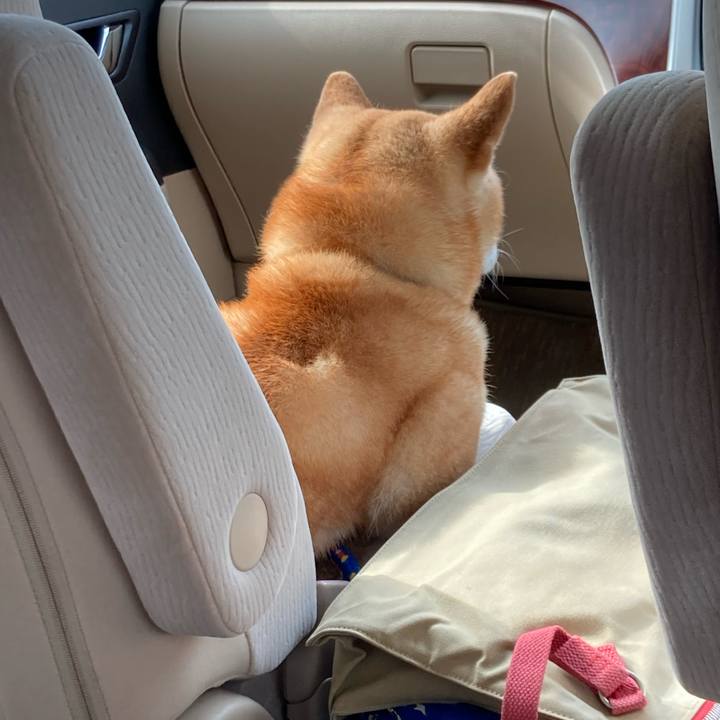 F756eed3 ad7d 405e bfa1 c1136f25ae9a 1689468016281