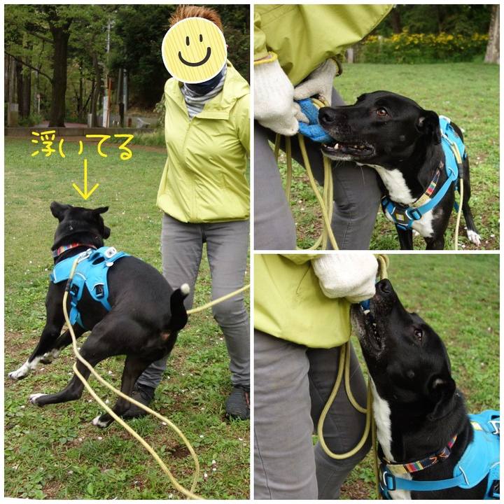 F756f328 5779 4f43 8e16 96ffff15a973 1617669799166