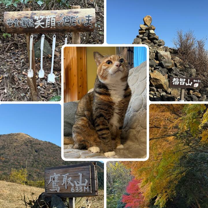 F756fb83 7270 41dd 9ae0 47bfb1073c25 1764408674087