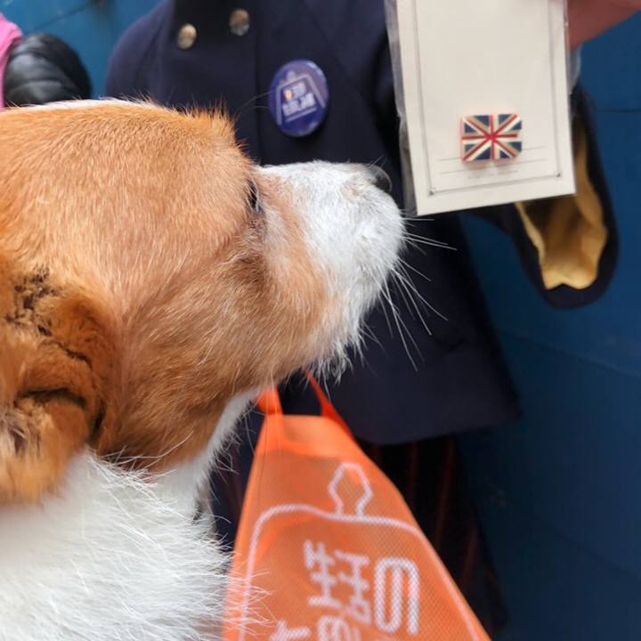 F75707ee e923 4b8e ae1a 01a3480f5fc1 1510790915350