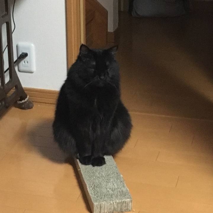 F7570dd1 0878 4421 a851 9fa35788f065 1518320621254