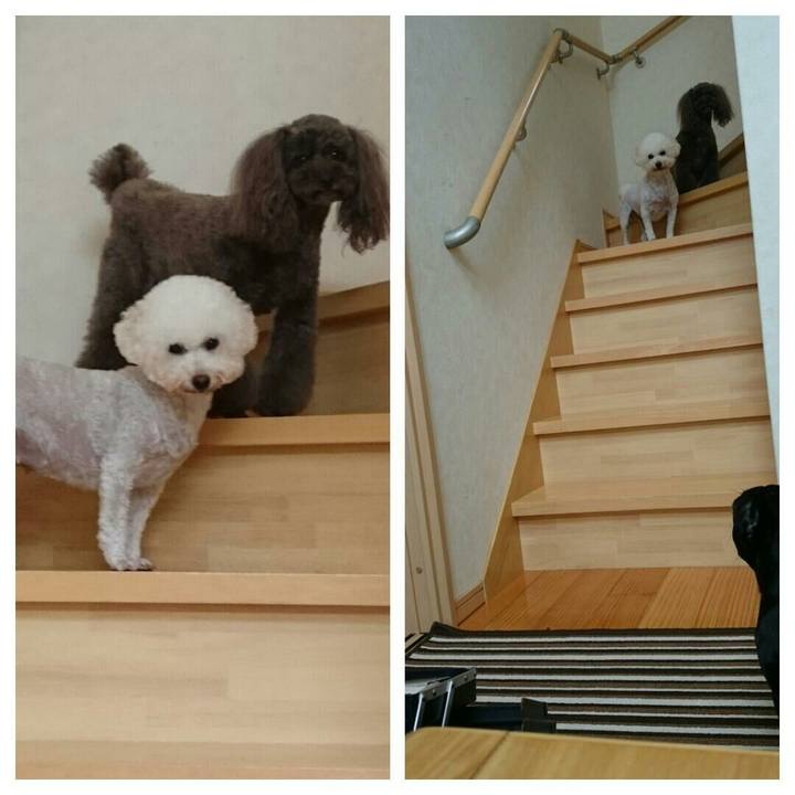 F7572a57 749b 43f9 9481 c477f8593423 1508848808818