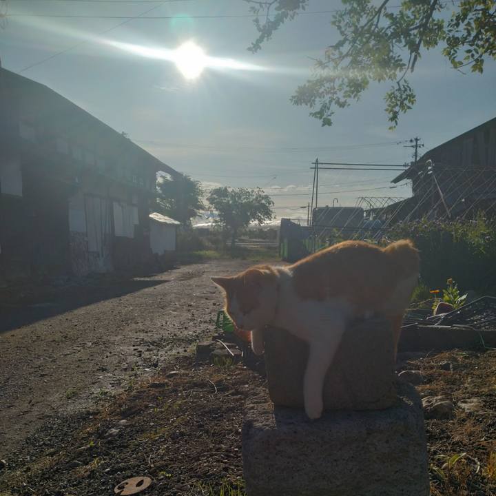 F757624a b755 4798 b69f e08d9a1caa65 1750025269998