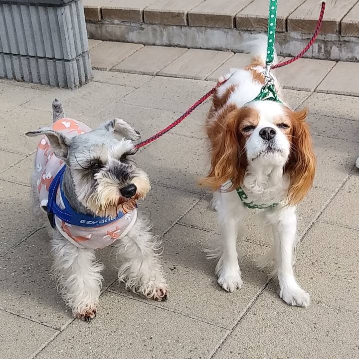 F757a05f 2edf 45ac 998b 86958f32b5ad 1616118127108