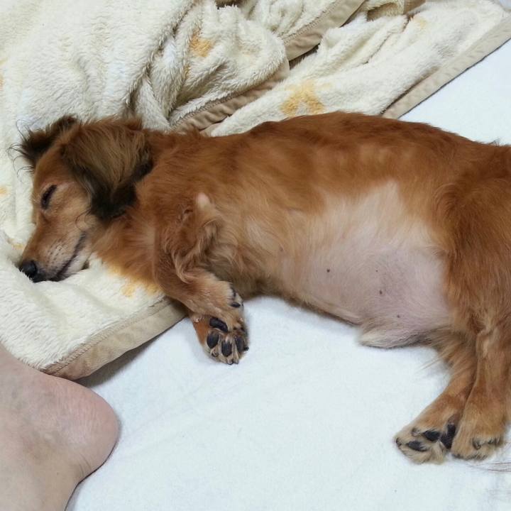 F757cd5b 76a7 4756 bb08 cf5d60c5626c 1569935005238