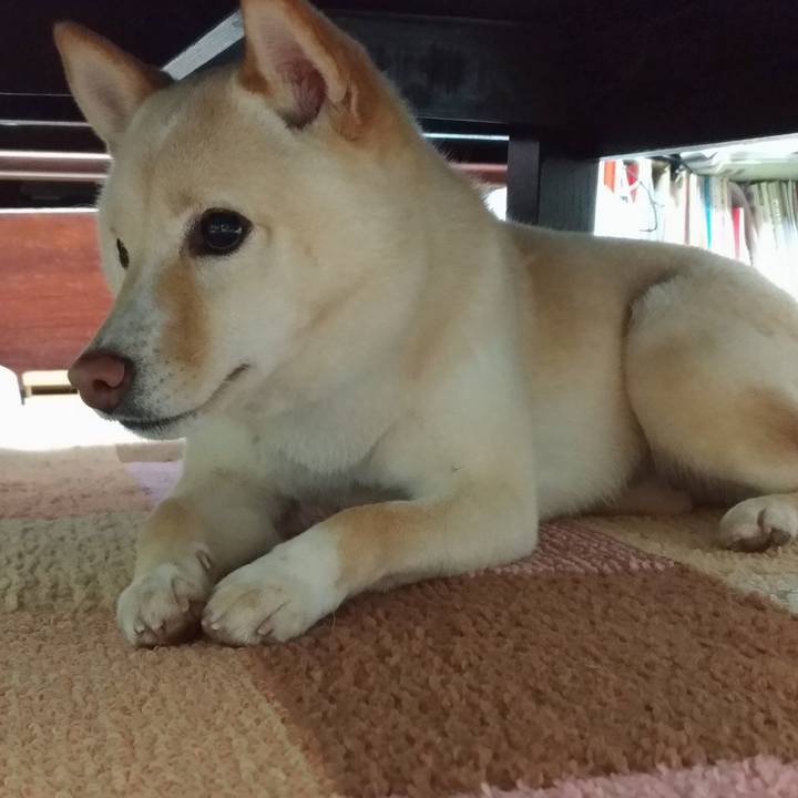 F75814c0 08bb 42c7 80a2 fbbdf19d6c98 1551442363535