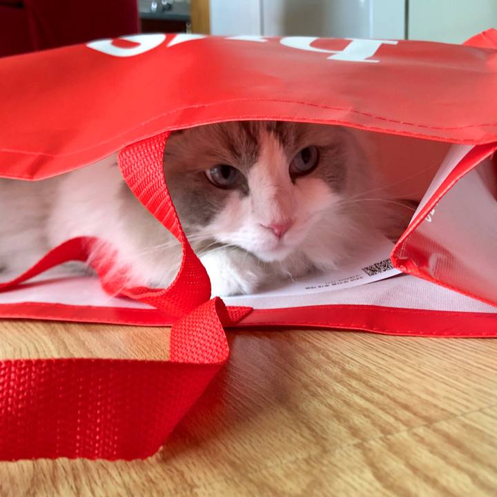 F7586a7f 51ea 4676 8b29 b47631a24fa8 1630823844970