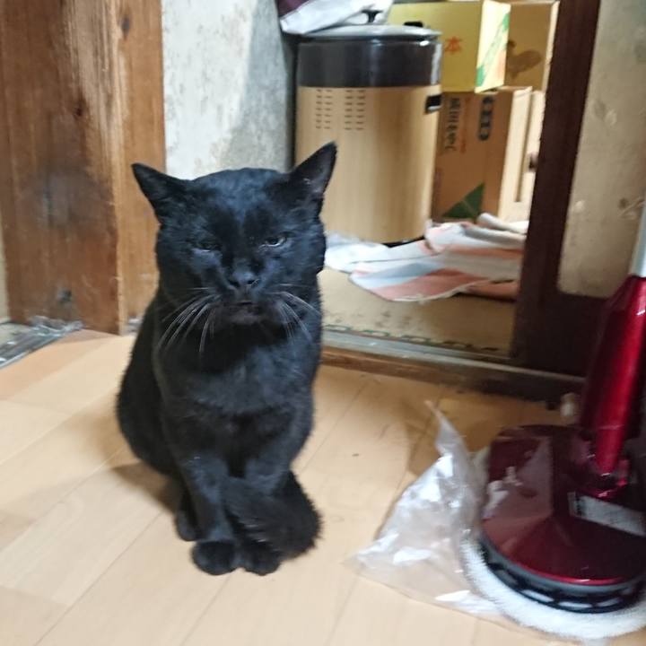 F7587780 f003 4261 b3e3 0e0a773bab9f 1630753668159