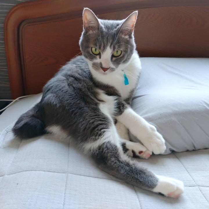 F7588007 72da 4766 8305 9aba28ad9fe7 1663370273755