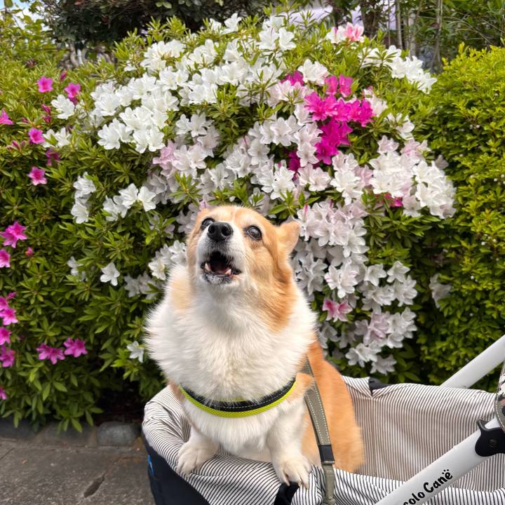 F7589a7e 83f1 42bc 9b04 94b0958a801e 1776733409041