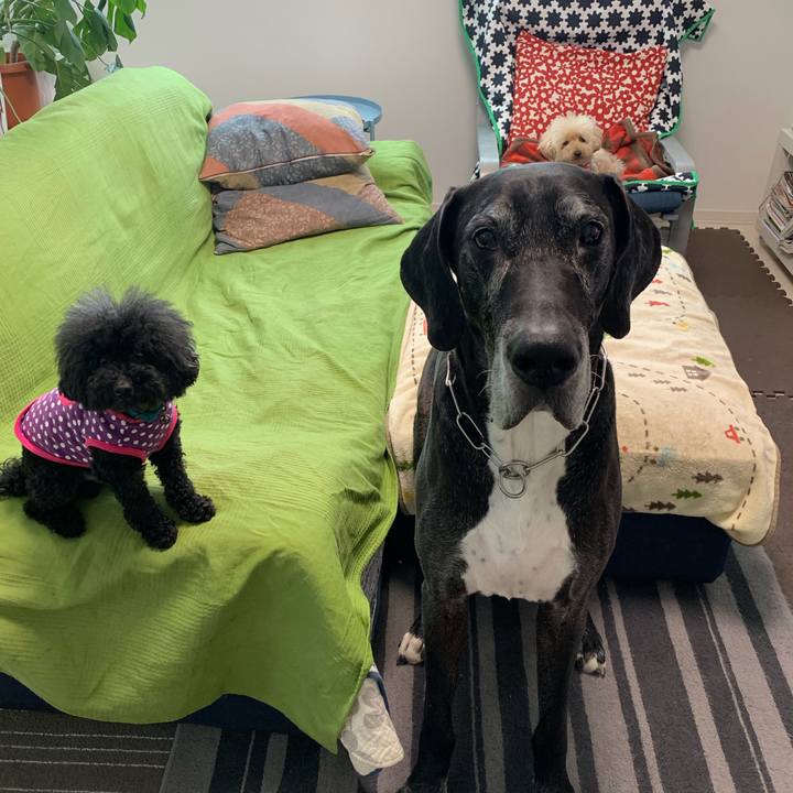 F7589e5b 9e43 4646 958b 634452c52a67 1557355641620