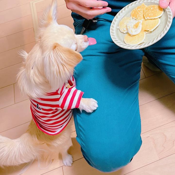 F758d696 9125 46aa aa4f ea3a1689a059 1650178451026