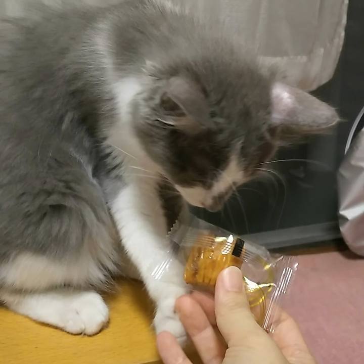 F758f0e8 2554 4759 a010 b8d04bc0a2d8 1565177290481