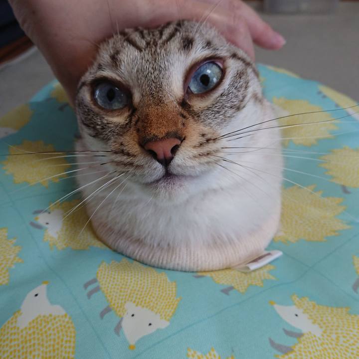 F759104e 17be 4449 8b5e d7ffb69047c1 1564190439035