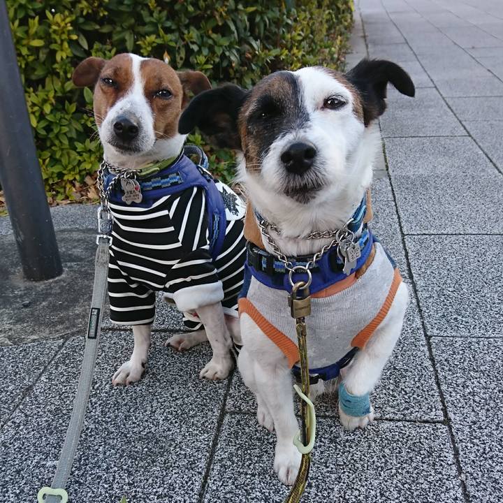 F7599d3f a26c 4b47 8d9b d3fd2344213c 1612914575874