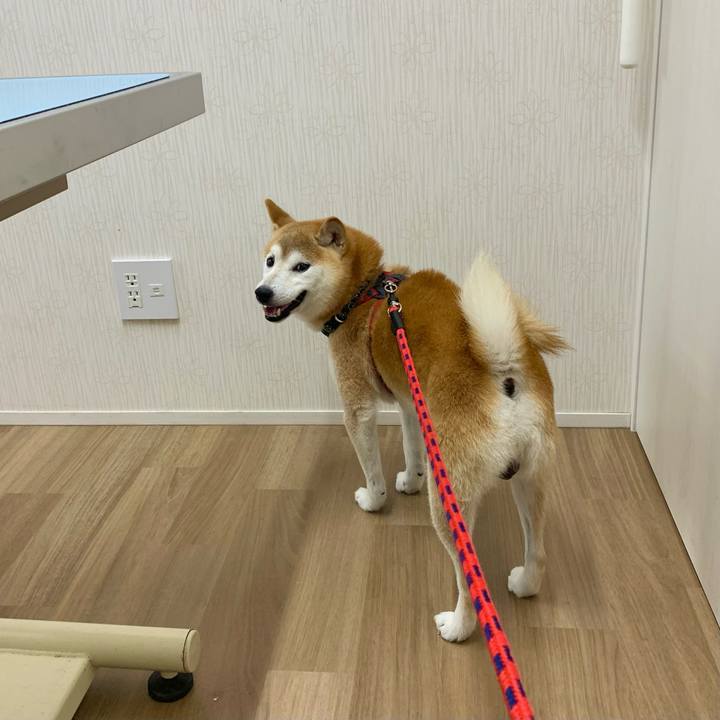 F759b579 49a2 4982 b003 0babd7c49b57 1694853156745