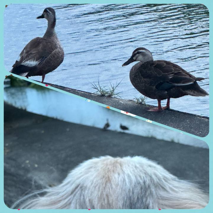 F759d3bc cafa 4b48 8fff 09d0ea67a50c 1716639053132