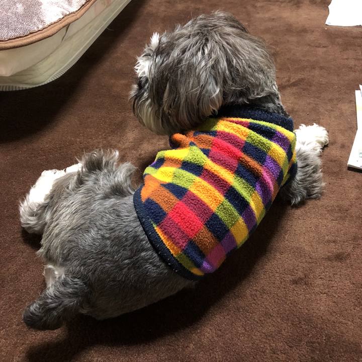 F759e6fe 14d4 4fb4 8c89 677b6cc39af2 1522848122481