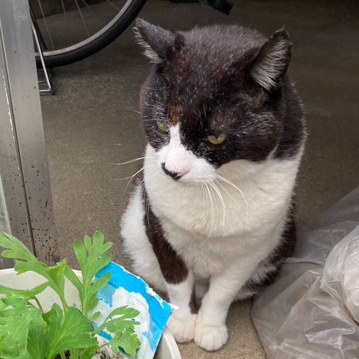 F75a045e 50b2 4b3f bb0d 20c6a474aba6 1655360617287