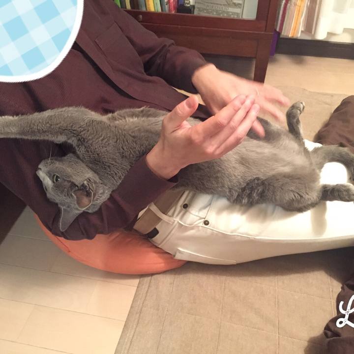 F75a47a2 f670 4c7f b6bf 92255ff30600 1557444729547