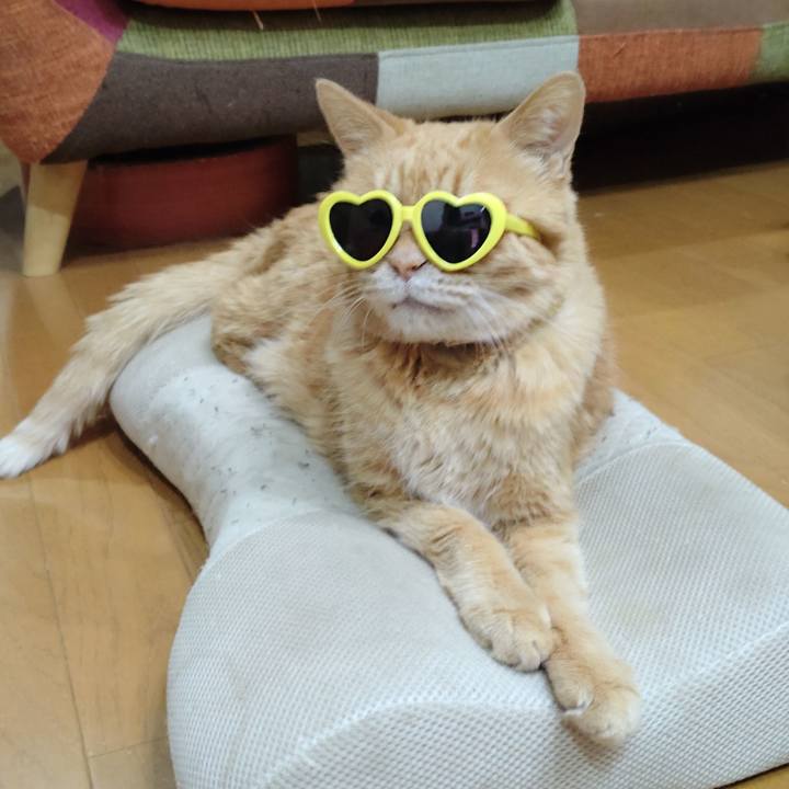 F75a4eb9 3807 4d1b 9fa4 30d9fdb12970 1692705883189