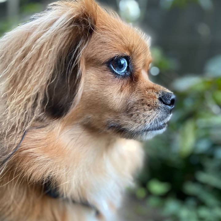 F75a78e0 5680 4022 9cb3 bda1b45f73a6 1573509468909