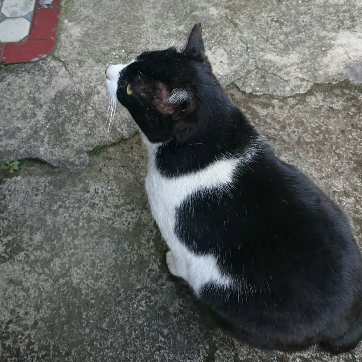 F75a7d75 dc7e 4340 ab03 9b7e7c24fcad 1523330920946