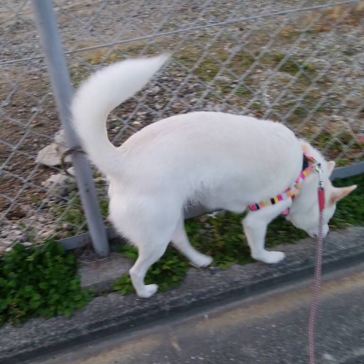 F75a9c02 77b6 4c43 9d44 f97ac7a25e6f 1542798444876