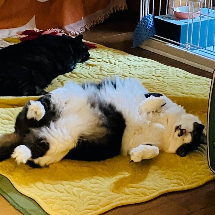 F75aa03d 1c75 4e3c 8d13 82f38cd1b5b4 1739240917118