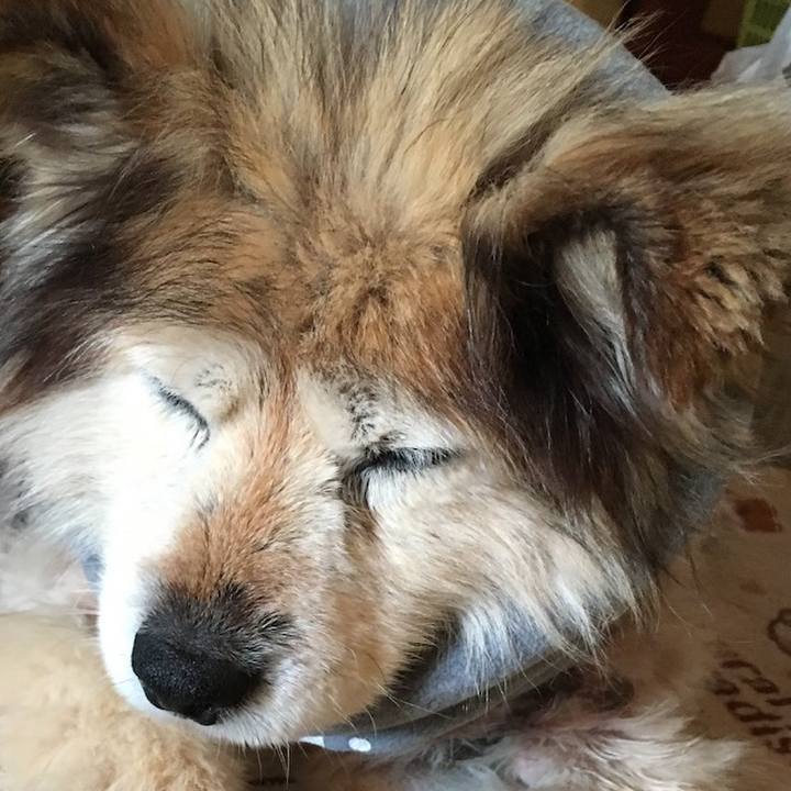 F75abde6 8ad6 44cb b0f8 87d5178b4570 1603296881677