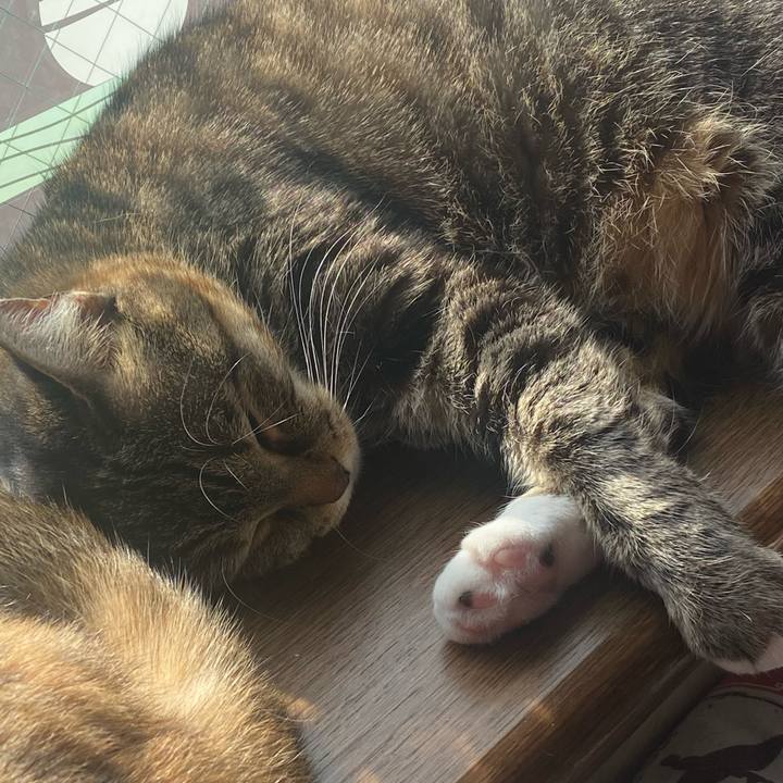 F75ae7a5 60f4 4896 a22e 5427ade1a171 1638157401145