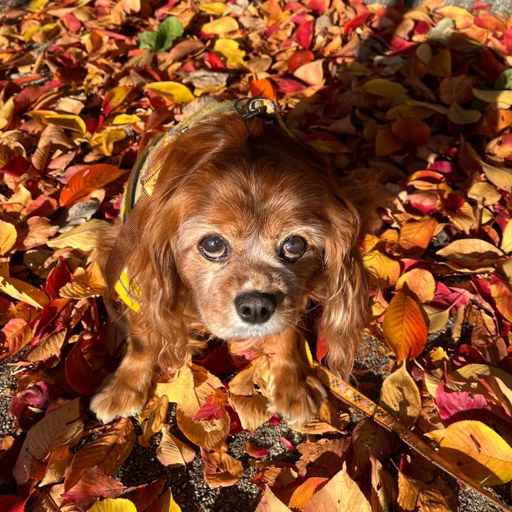 F75b046f b514 4114 9ed9 f5e2fccfd569 1763884423964