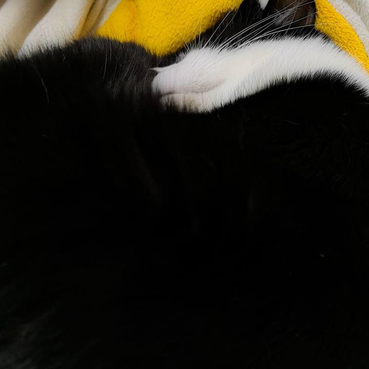 F75b2342 0192 43d3 ab11 713c67ce203a 1571746664388