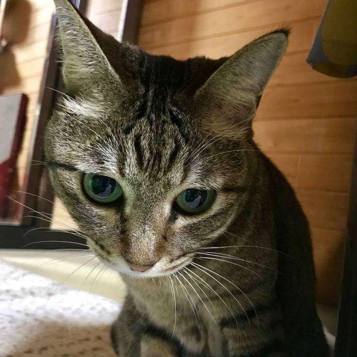 F75b3db9 818d 4d7d bd44 c7ad8841ce1e 1539611045001