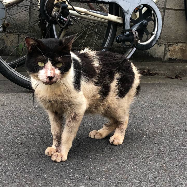 F75b5b06 2899 4256 a95f a07cab466f5a 1567176279873