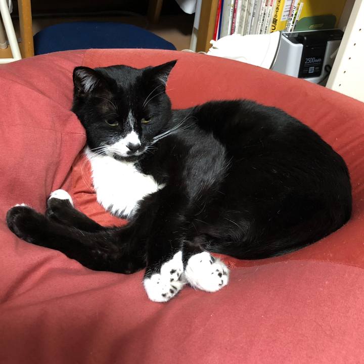 F75b8d4a bfd5 40d9 80cd 30ab9c8260bf 1649820894139