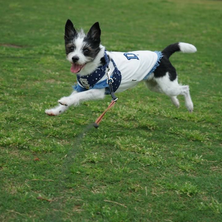 F75bbcfe d431 4cfe b2a3 1daf8b64496b 1651098462865