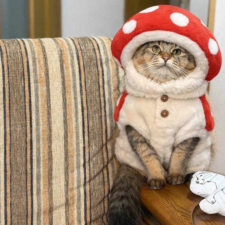 F75bdb22 0c9b 476e 9ce9 6ee34a584c9c 1766443938158