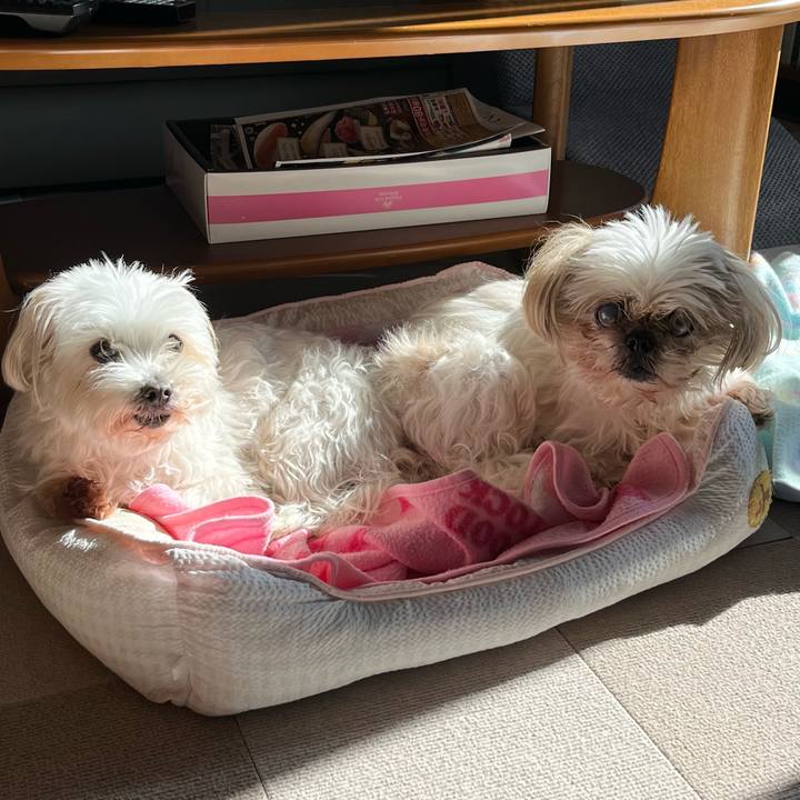 F75c3986 fb79 4790 a287 810c7f044366 1736335670187