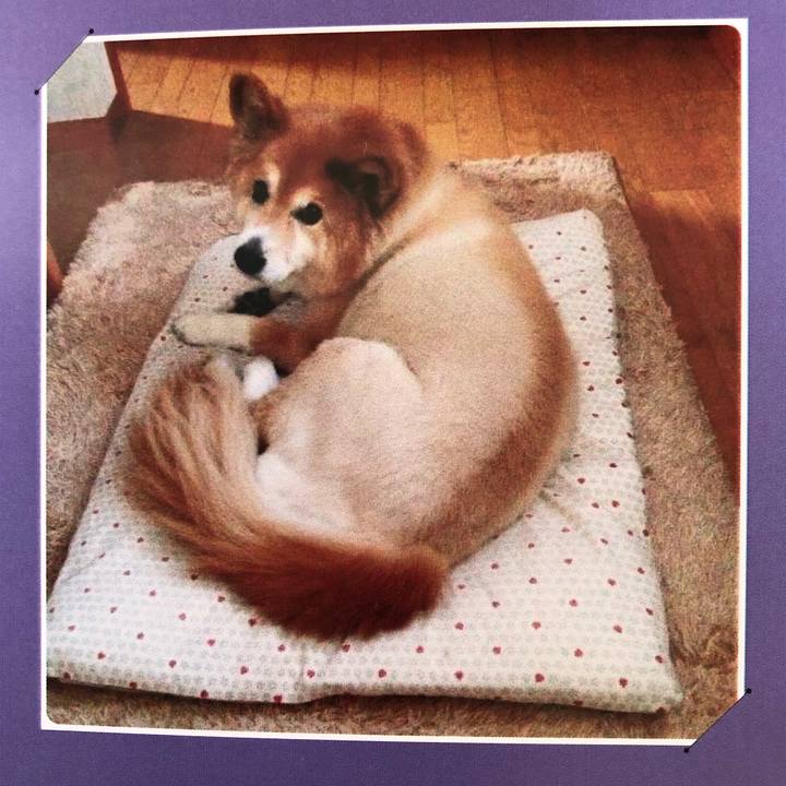 F75c3d8a c220 424c b775 7b3e65c0bea6 1606812362167