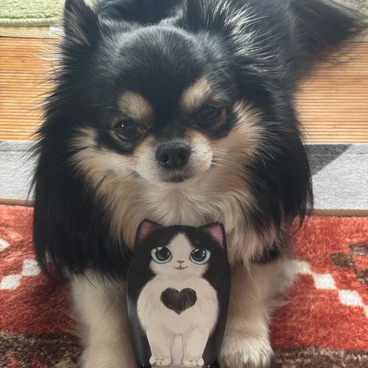 F75c3ff0 47f5 45b9 aea9 b6ba070ad86c 1770706503059