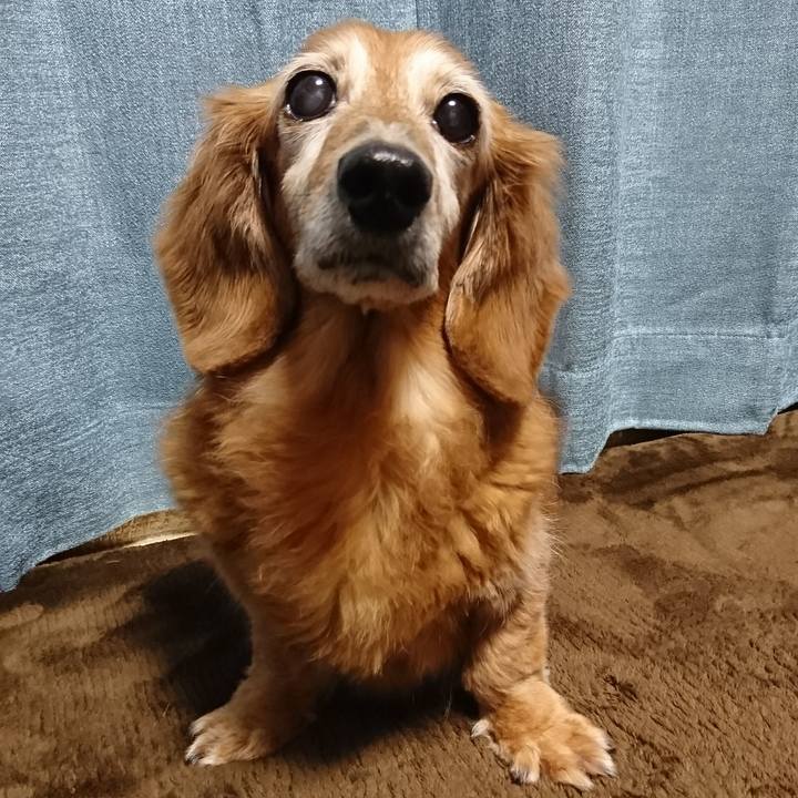 F75c4971 e900 4ab8 ac78 a17728fe24c6 1511881749210