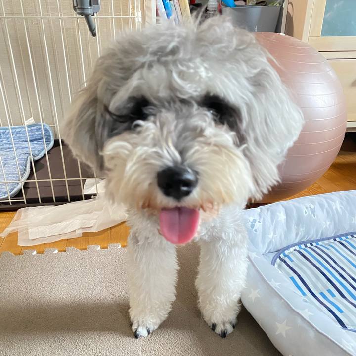 F75c6ea3 aea9 4136 9414 97bd7a355c55 1625708470335